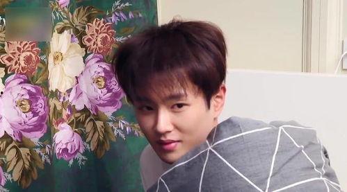 娱乐吃瓜酱少爷是谁,他是谁？在娱乐圈有何影响力？