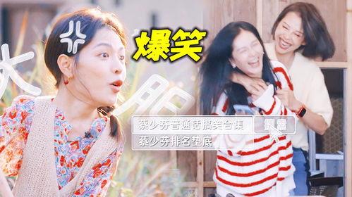 娱乐圈吃瓜封面小说推荐,从吃瓜封面到巅峰荣耀的逆袭之路