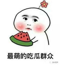 娱乐吃瓜君被多次投拆,揭秘网络舆论背后的真相