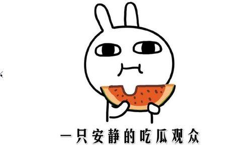 娱乐吃瓜酱如何吵架,一招制胜的口水战攻略